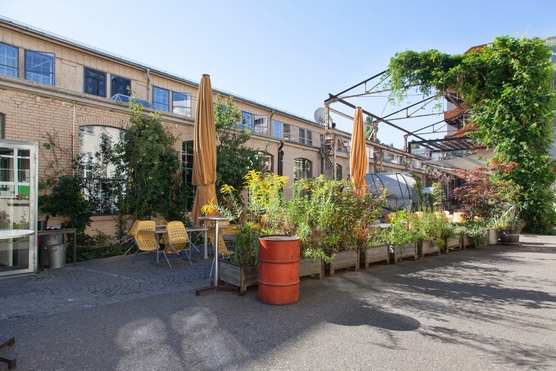 Gundeldingerfeld_Basel_250816_10
